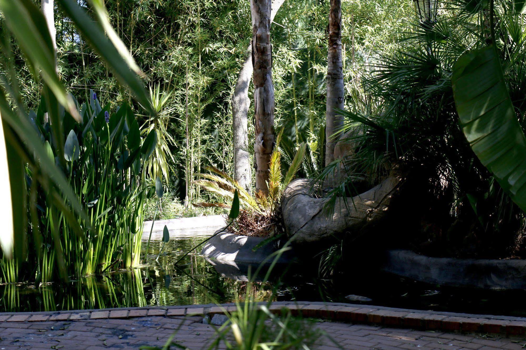 Summerview Guest Lodge Johannesburg Exterior foto